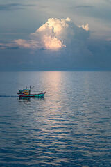 3rd  "Bay of Bengal" by Linda Meaton.