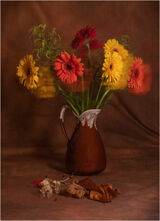 Third Place 'An Old Master' by Anita Fullerton AFIAP