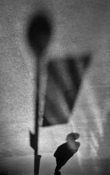 2nd  "Shadow Stop" by Rachel Domleo