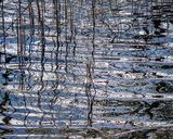 First Place 'Slapton Lay' by Linda Meaton