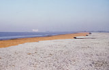 Frosted Foreshore at Littleton on Severn. December 1965