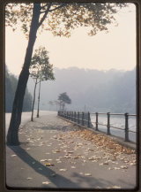 A Misty Autumn Scene along the Portway. October 1963