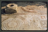Woodchester Mosaic. Taken when it was last uncovered 1972