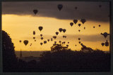 Balloons Sllhouetted against an evening sky. 1992