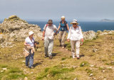 In Search of Puffins on Skomer 20th June 2017