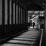 'Shadowland' by Jeff McKinstry Commended