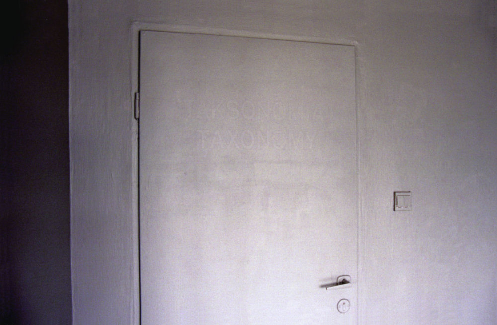 Taksonomia/ Taxonomy