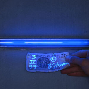 Taksonomia/ Taxonomy