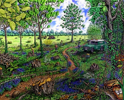 Biodiversity of a coppiced woodland
