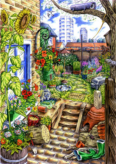 Rear garden biodiversity