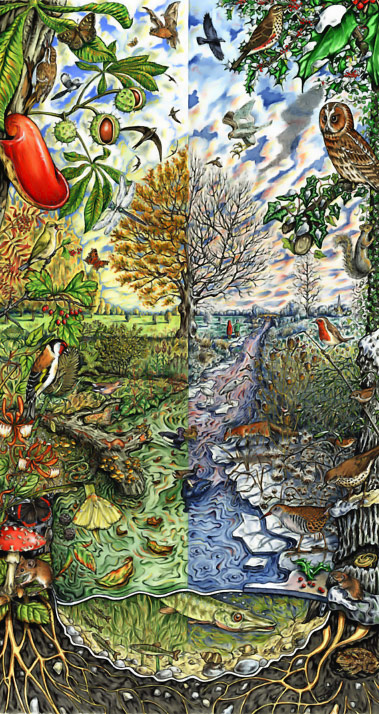 Autumn and Winter biodiversity