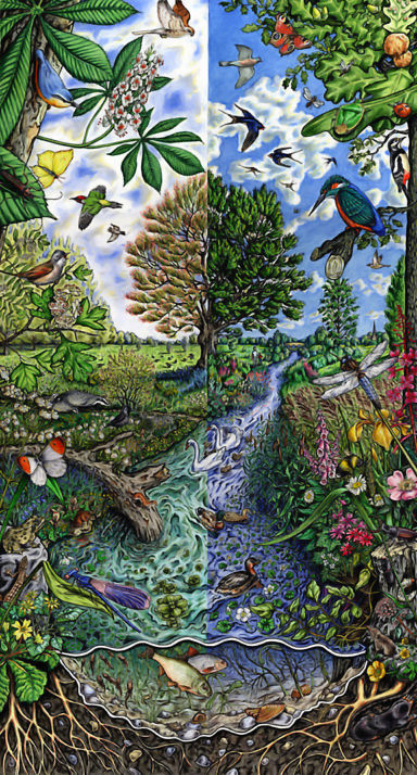 Spring and Summer biodiversity