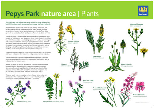 Interpretation panel - Lewisham Council
