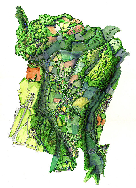 Topographic view