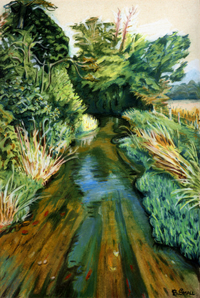 River Darenth - Shoreham / Lullingstone