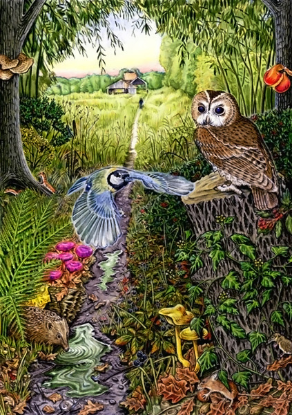 Owl watch