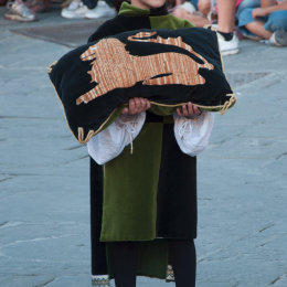 Montepulciano Cushion Carry