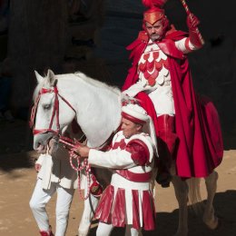 The Parade Master