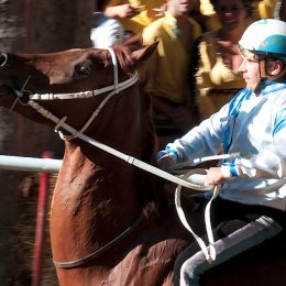 Palio di Asti