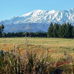 Ruapehu