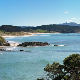 Tauwharanui Triptych 2