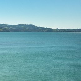 Tauwharanui Triptych 3