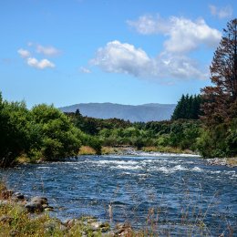 Tongariro River1