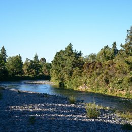 Tongariro River