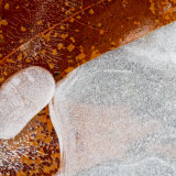 A map of ice and a leaf
