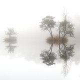 Misty conditions