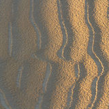 Sand ripples in sun and shade