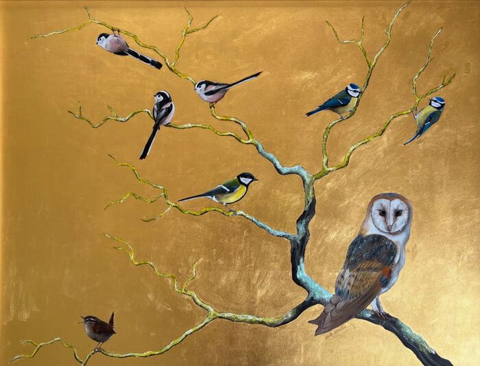 Sing wren and Barn Owl