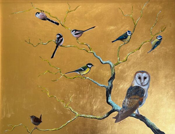 Sing wren and Barn Owl