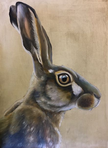 Hare Study I