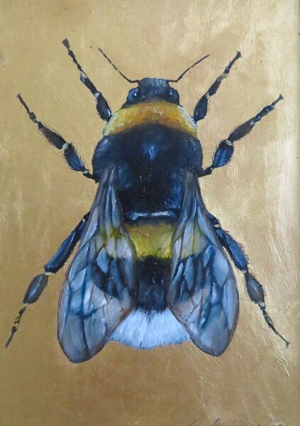 Golden Bumblebee
