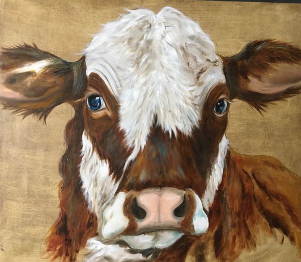 Cow study 1