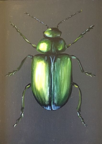 Green plant beetle