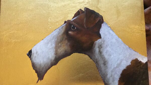 Wire Haired Fox Terrier