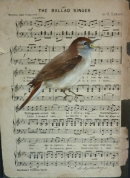 Ballard Singer