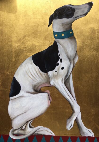 Whippet