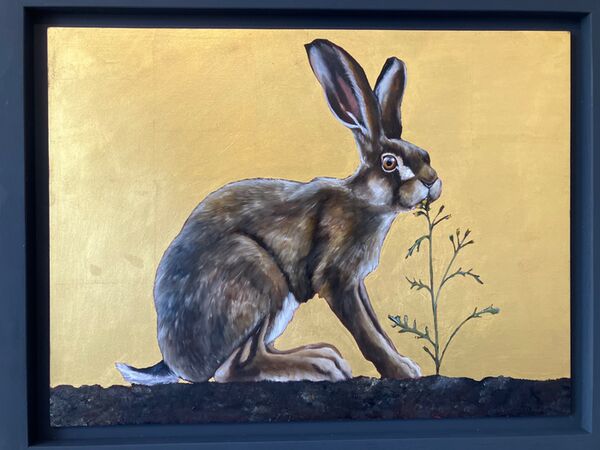 Hare and dandelion