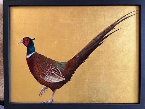 Pheasant