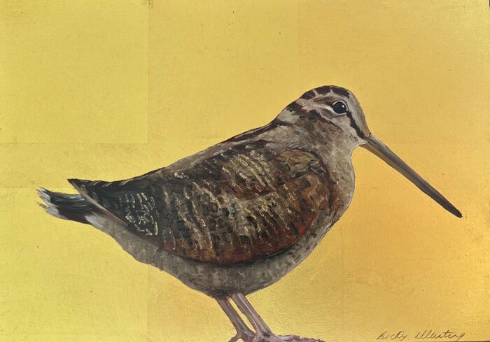 Woodcock