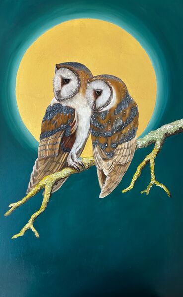 Barn Owls
