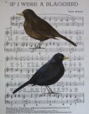 If I were a Blackbird