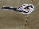 Long Tailed Tit