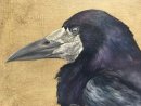 Rook Study