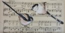 Song of Songs ~ Long Tailed Tits