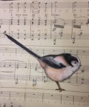 Long tailed tit - I love only you