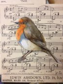 Robin